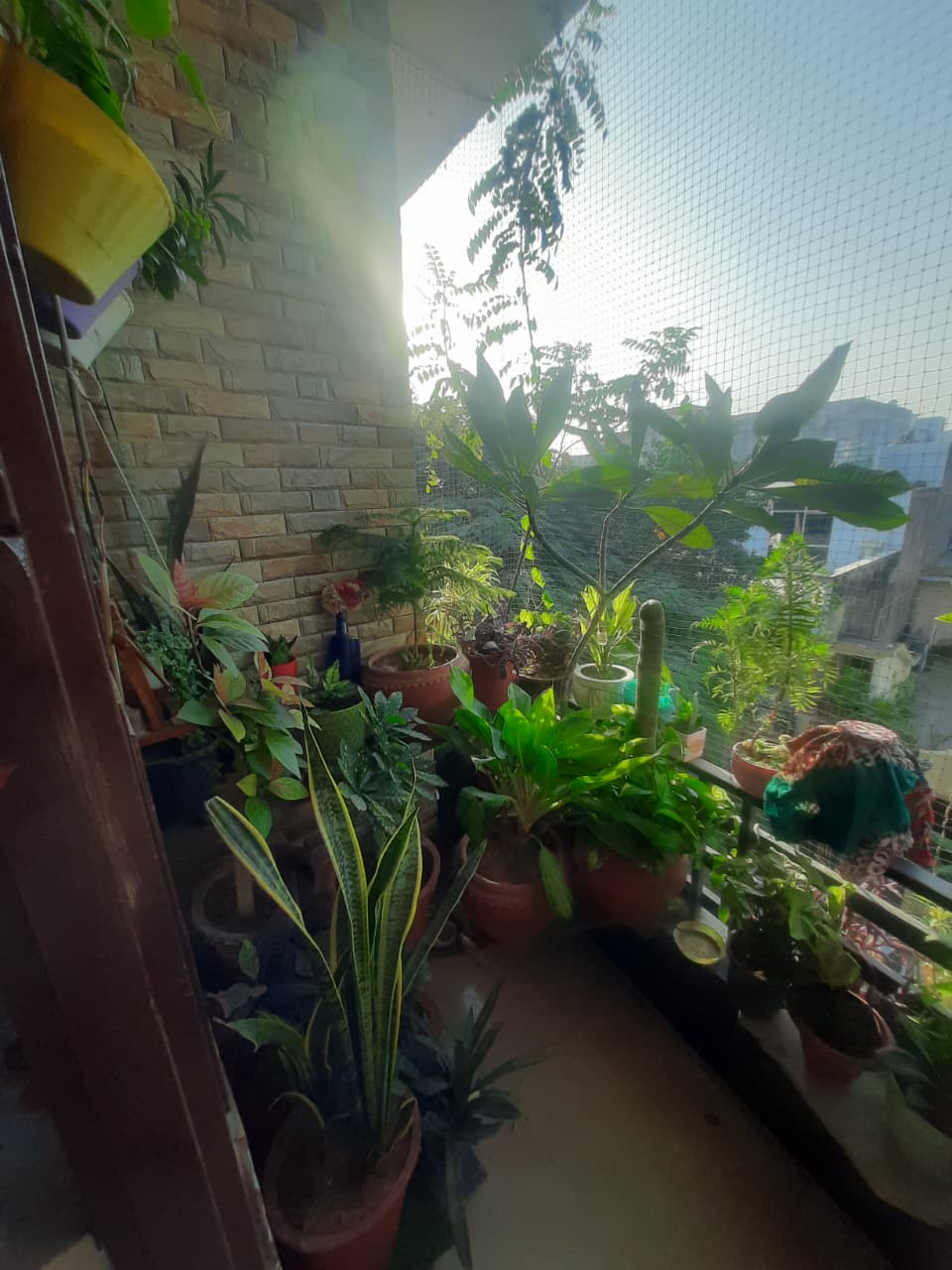 Premium 3BHK | Bright & Ventilated | Ready to Move